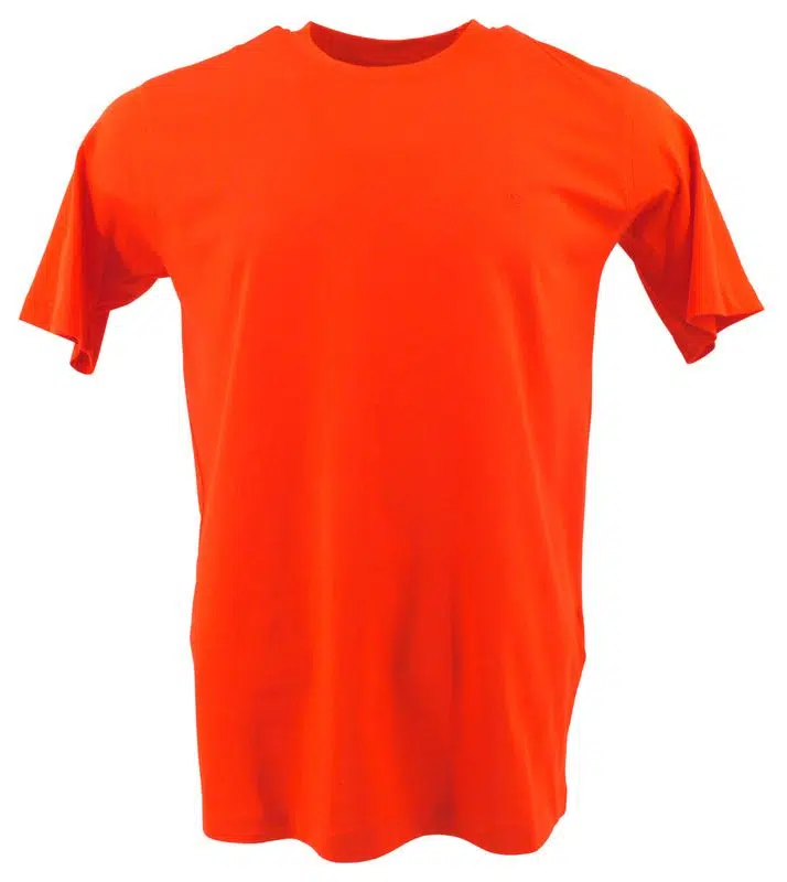 Tee-shirt orange col rond CASA MODA 004200ca