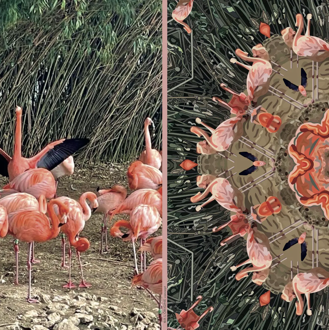 Foulard soie Gavroche Flamingos – Image 6